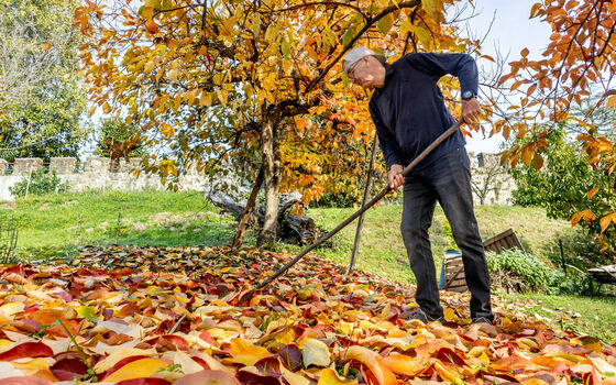 Ein Mann rächt Herbstlaub aus seinem Garten.