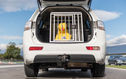 Caisses de transport pour chiens : en sécurité en voiture avec des chiens