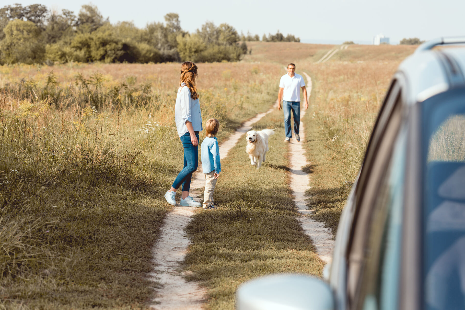 Comment transporter un animal de compagnie en voiture? - Europ Assistance