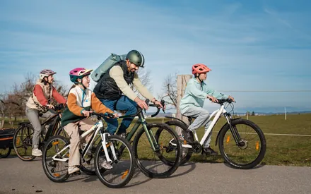 TCS Velo Versicherung