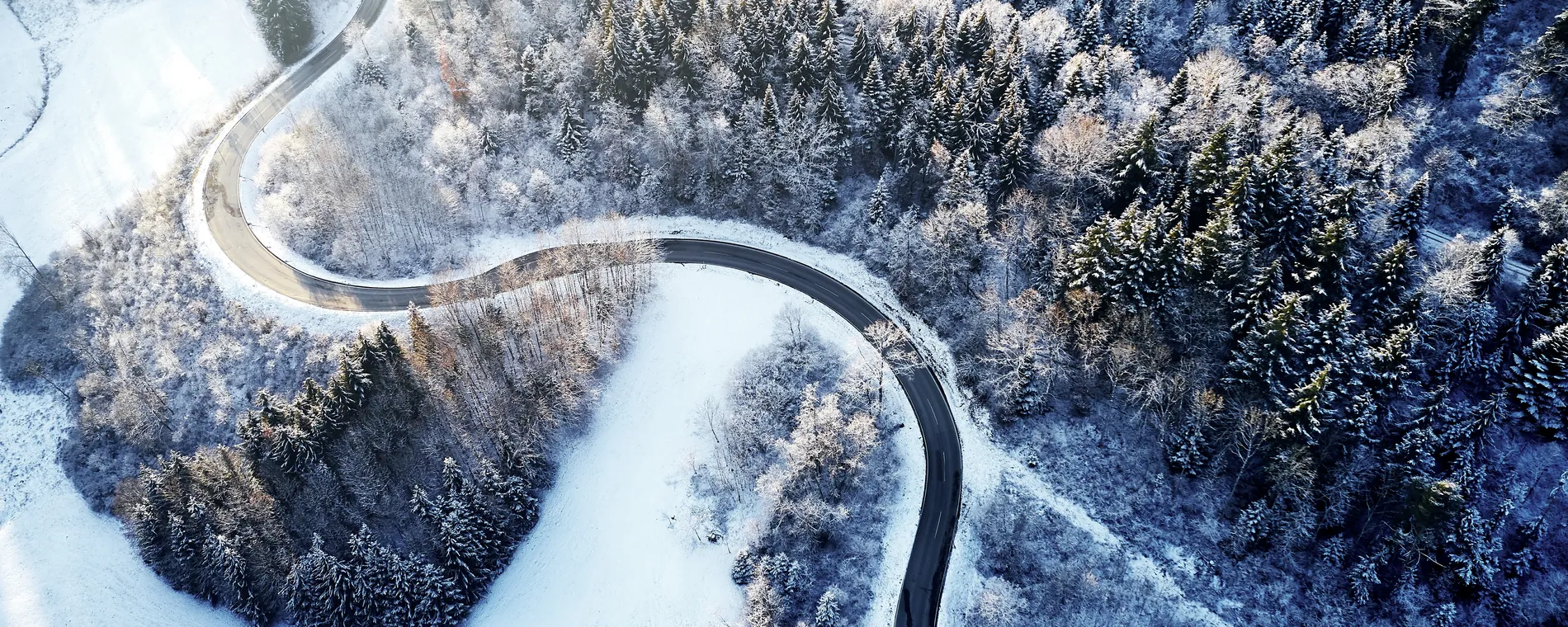 Wir haben Grund zum Feiern!