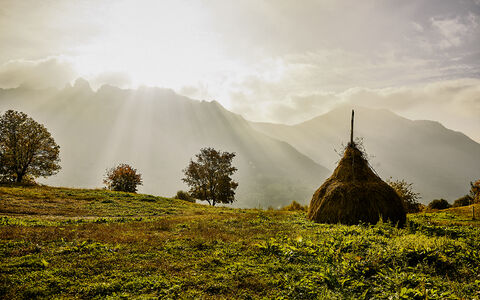 Sonvico Tessin