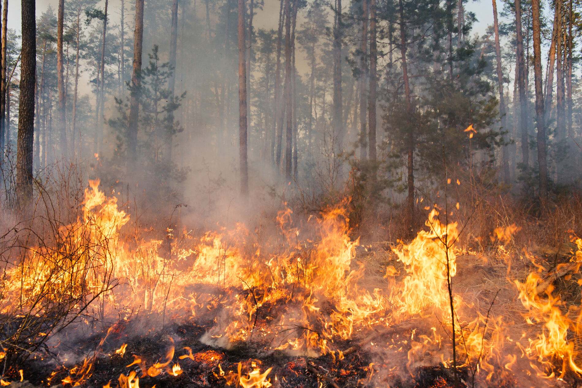 Conseils de sécurité incendie d'hiver