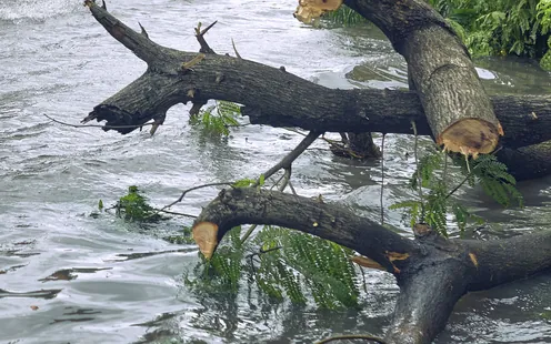 Cyclone Ditwah au Sri Lanka