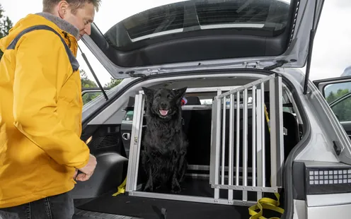 Caisses pour chiens : certains modèles se désintègrent lors du crash-test
