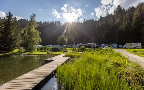 Anno record per TCS Camping con oltre un milione di pernottamenti turistici