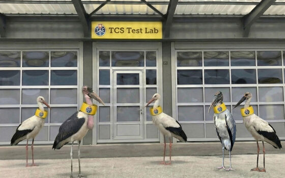Stork test