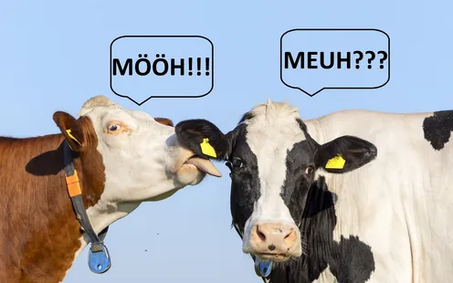 Applications de traduction: un choix parmi d&#039;autres