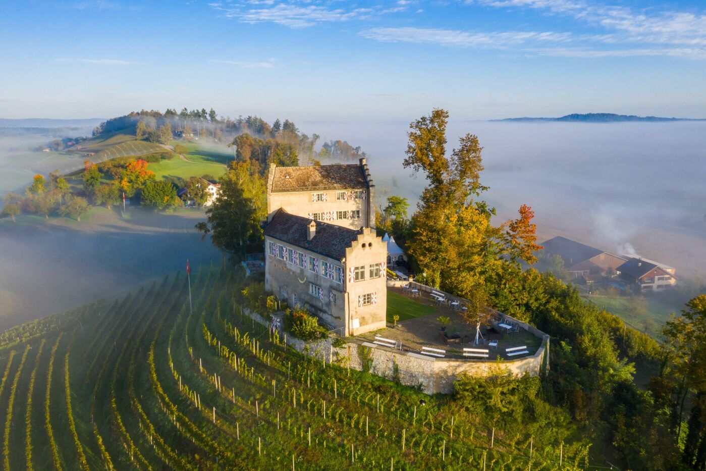Weinberge/Vignes/Vigneti