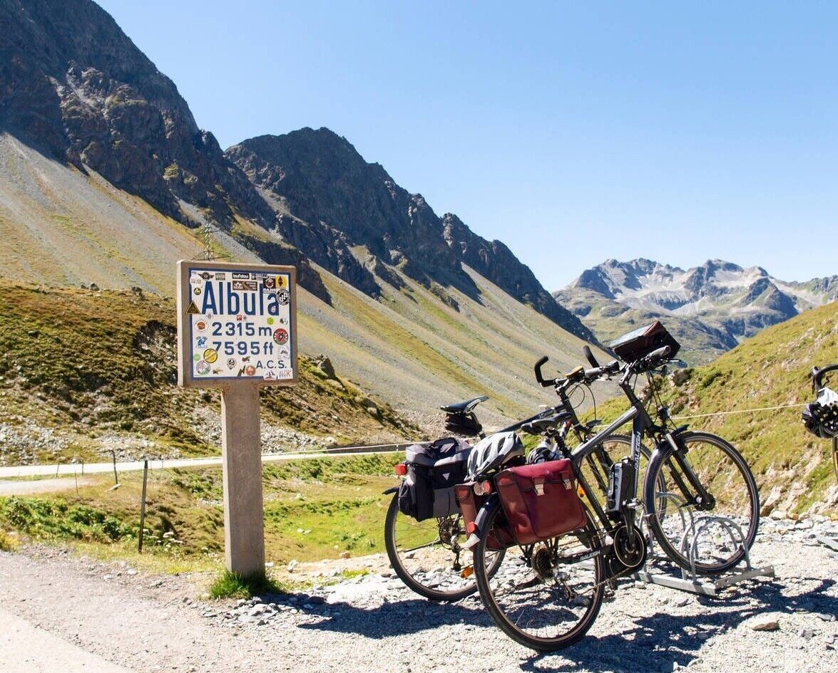 Albula