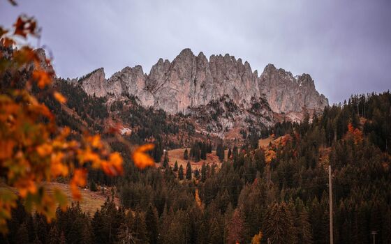 Herbst/Automne/Autunno