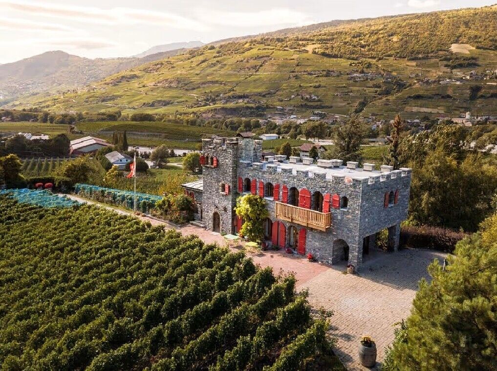 Weinberge/Vignes/Vigneti