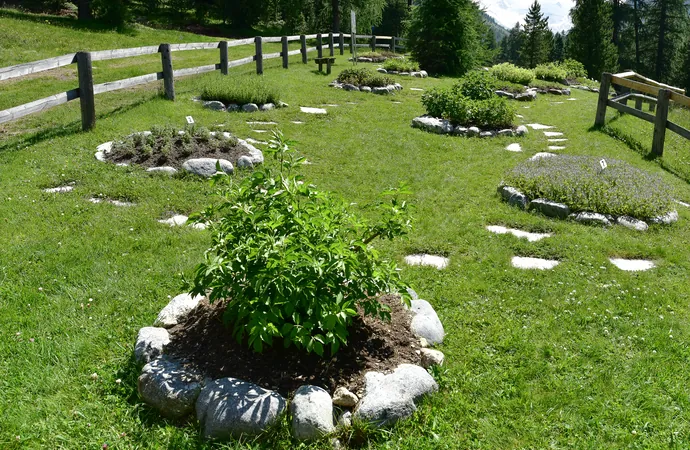 En Haute-Engadine, une reconnexion à la nature
