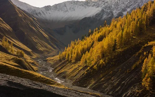 Herbstspaziergänge zwischen Licht und Schatten