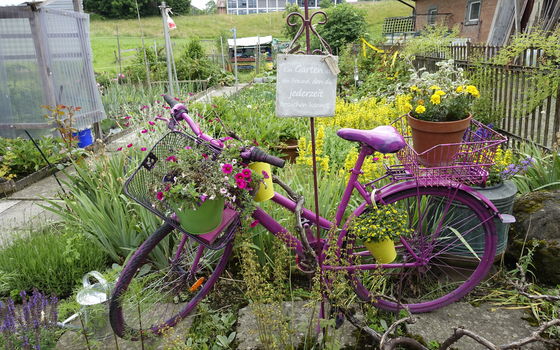Ce vieux vélo attire les regards dans les jardins de Neumühle.
