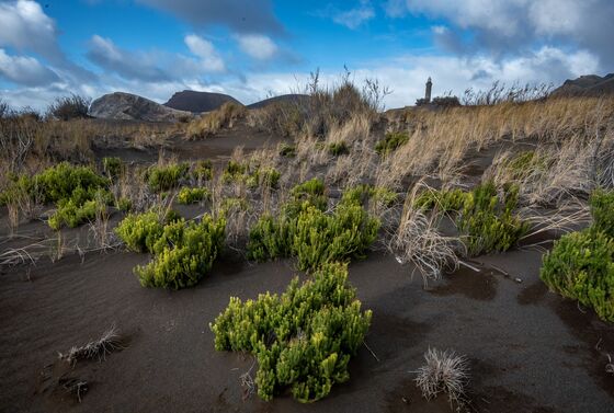 Faial