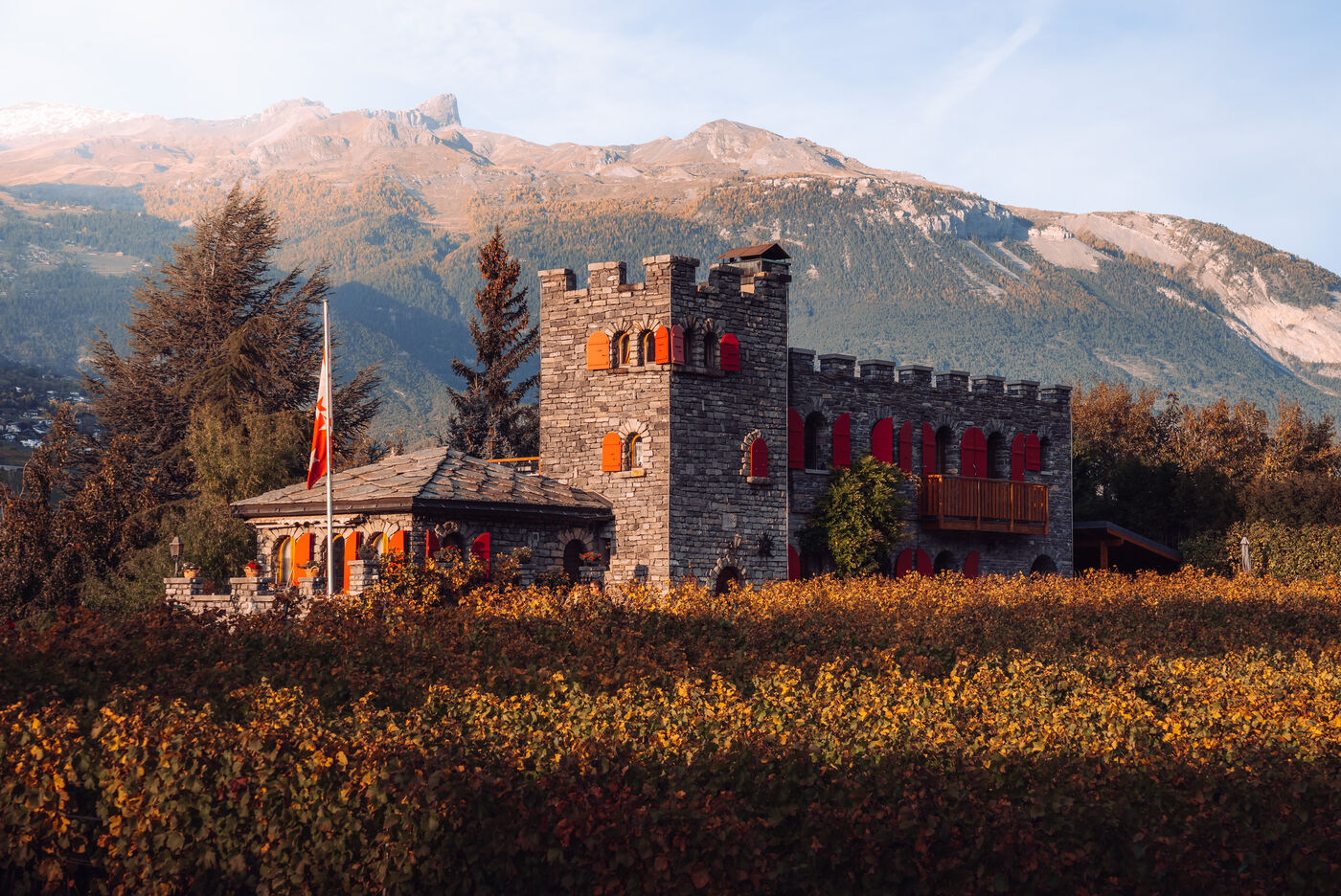 Weinberge/Vignes/Vigneti