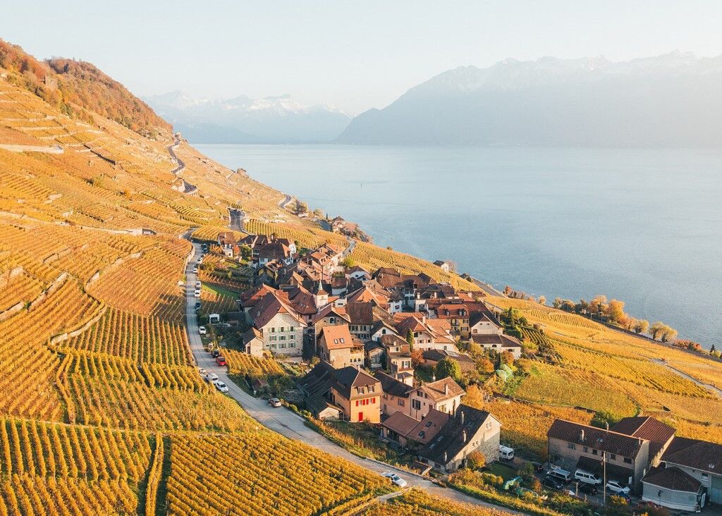 Lavaux